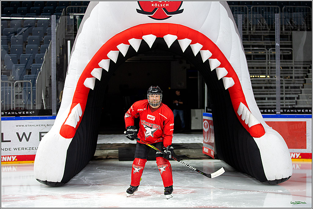 PENNY DEL; Koelner Haie- Red BUll Muenchen Sponsorenspiel; Koeln, 08.11.2022